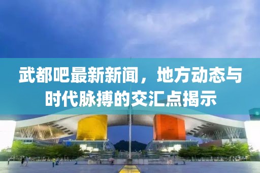 武都吧最新新闻，地方动态与时代脉搏的交汇点揭示