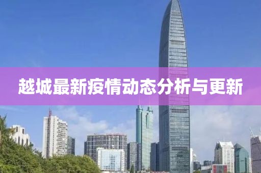 越城最新疫情动态分析与更新