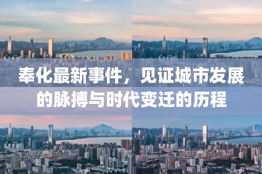 奉化最新事件，见证城市发展的脉搏与时代变迁的历程