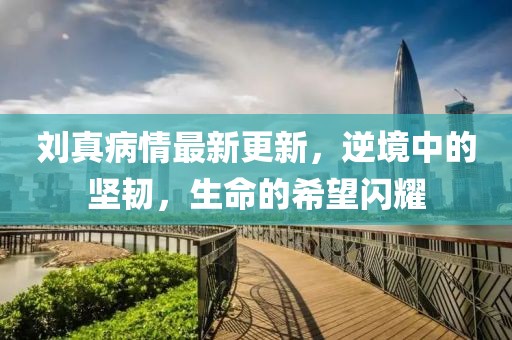 刘真病情最新更新，逆境中的坚韧，生命的希望闪耀