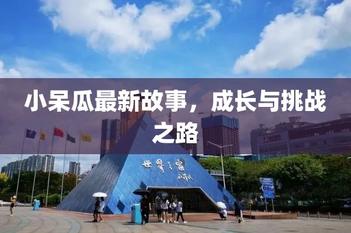 小呆瓜最新故事，成长与挑战之路