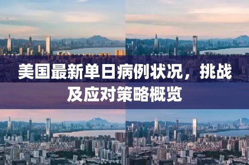 美国最新单日病例状况，挑战及应对策略概览