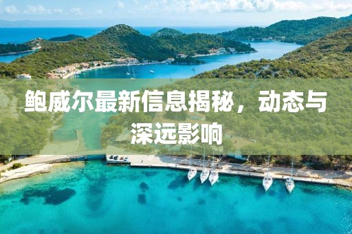 鲍威尔最新信息揭秘，动态与深远影响