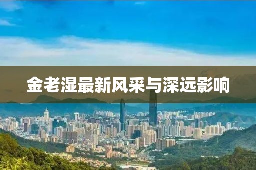 金老湿最新风采与深远影响