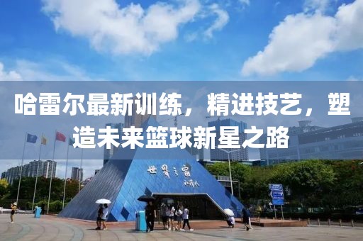 哈雷尔最新训练，精进技艺，塑造未来篮球新星之路