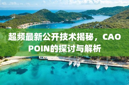 超频最新公开技术揭秘，CAOPOIN的探讨与解析