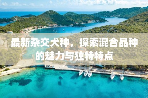 最新杂交犬种，探索混合品种的魅力与独特特点