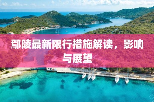 鄢陵最新限行措施解读，影响与展望