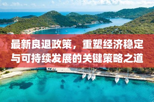 最新良退政策，重塑经济稳定与可持续发展的关键策略之道