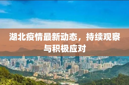 湖北疫情最新动态，持续观察与积极应对