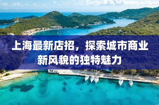 上海最新店招，探索城市商业新风貌的独特魅力
