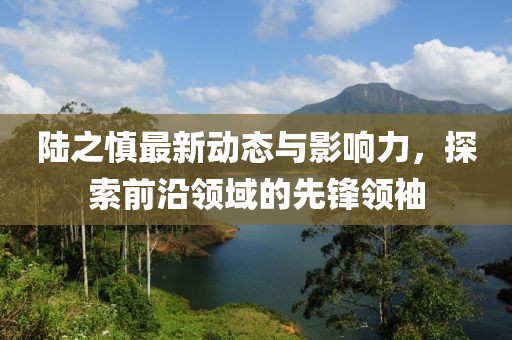 陆之慎最新动态与影响力，探索前沿领域的先锋领袖