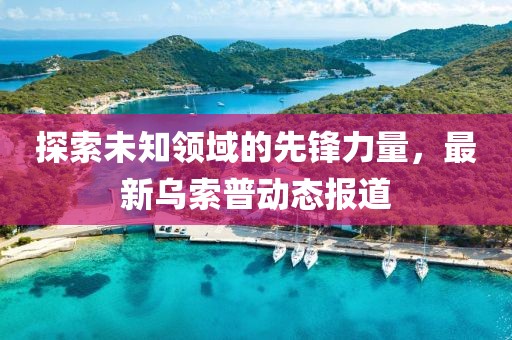 探索未知领域的先锋力量，最新乌索普动态报道
