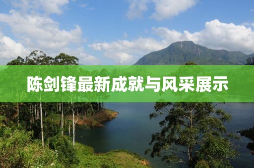 陈剑锋最新成就与风采展示