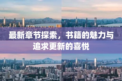 最新章节探索，书籍的魅力与追求更新的喜悦
