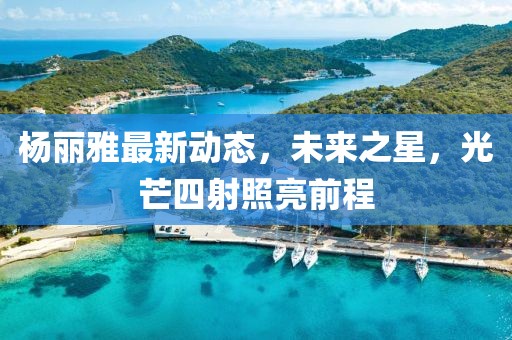 杨丽雅最新动态，未来之星，光芒四射照亮前程
