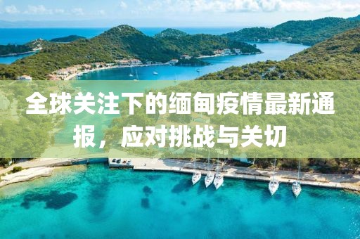全球关注下的缅甸疫情最新通报，应对挑战与关切