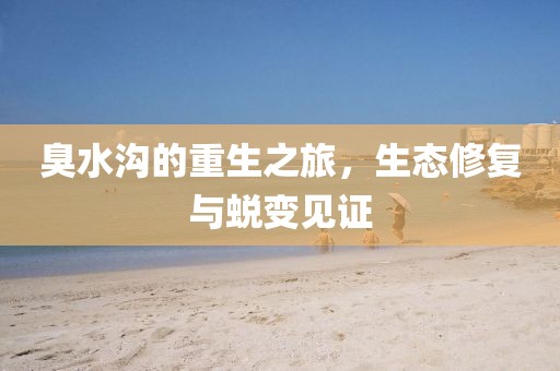 臭水沟的重生之旅，生态修复与蜕变见证