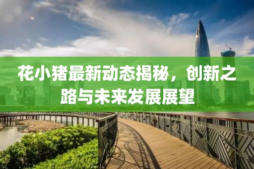 花小猪最新动态揭秘，创新之路与未来发展展望