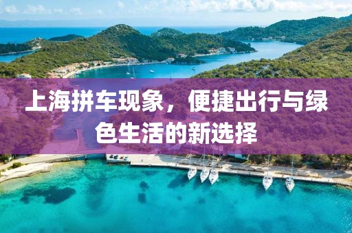 上海拼车现象，便捷出行与绿色生活的新选择