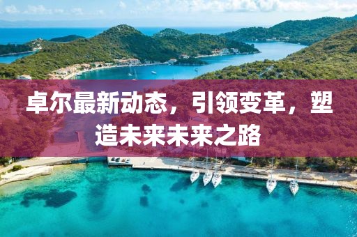 卓尔最新动态，引领变革，塑造未来未来之路