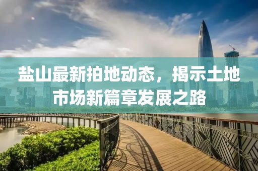 盐山最新拍地动态，揭示土地市场新篇章发展之路