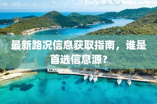 最新路况信息获取指南，谁是首选信息源？