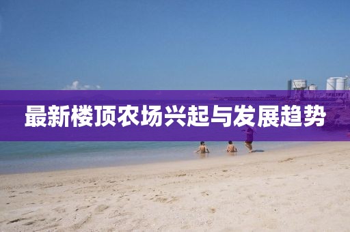 最新楼顶农场兴起与发展趋势