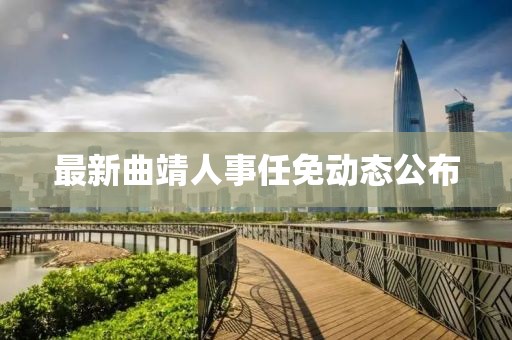 最新曲靖人事任免动态公布