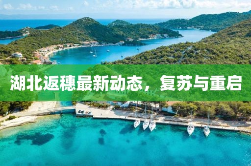 湖北返穗最新动态，复苏与重启