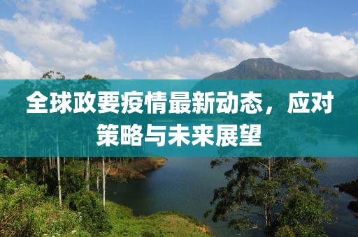 全球政要疫情最新动态，应对策略与未来展望