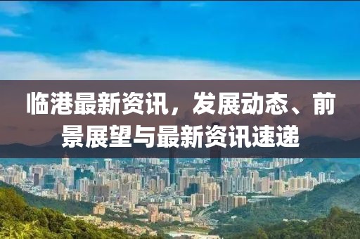 临港最新资讯，发展动态、前景展望与最新资讯速递