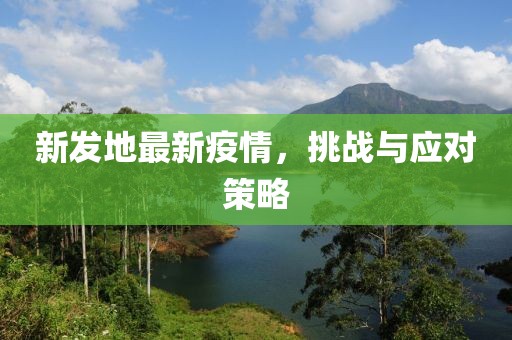 新发地最新疫情，挑战与应对策略