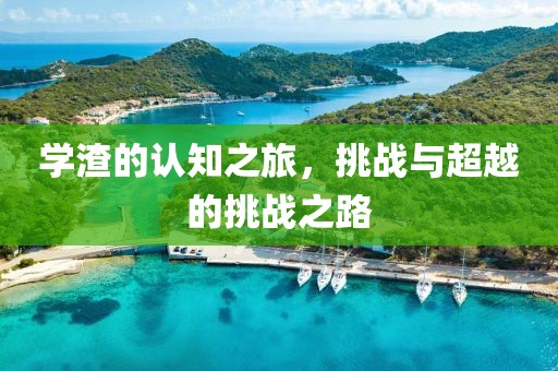 学渣的认知之旅，挑战与超越的挑战之路