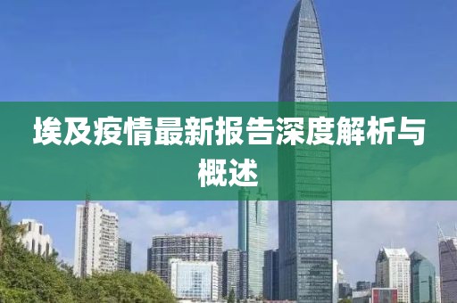 埃及疫情最新报告深度解析与概述