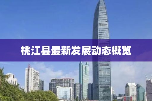 桃江县最新发展动态概览