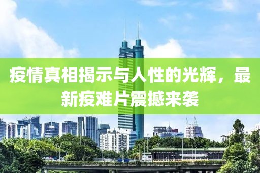 疫情真相揭示与人性的光辉，最新疫难片震撼来袭