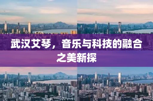 武汉艾琴，音乐与科技的融合之美新探
