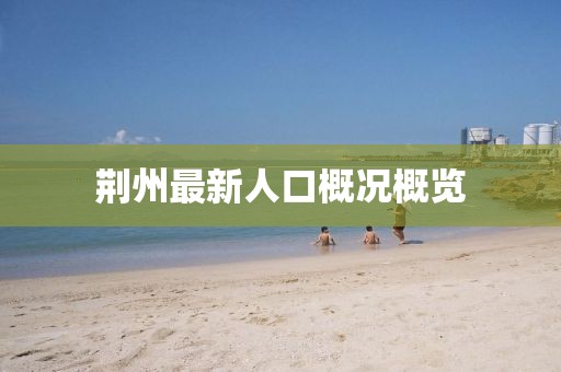 荆州最新人口概况概览