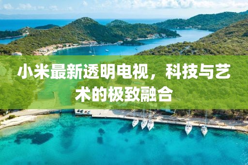 小米最新透明电视，科技与艺术的极致融合