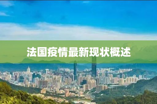 法国疫情最新现状概述