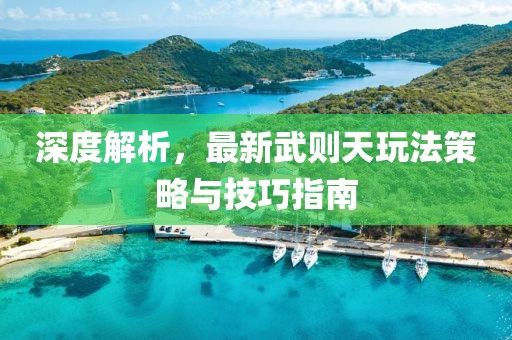 深度解析，最新武则天玩法策略与技巧指南