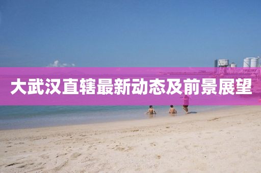 大武汉直辖最新动态及前景展望