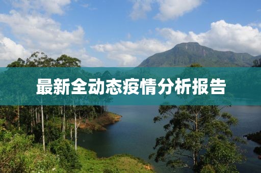 最新全动态疫情分析报告