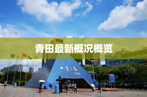青田最新概况概览