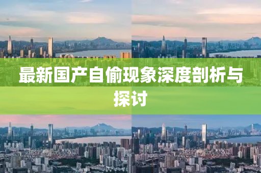 最新国产自偷现象深度剖析与探讨