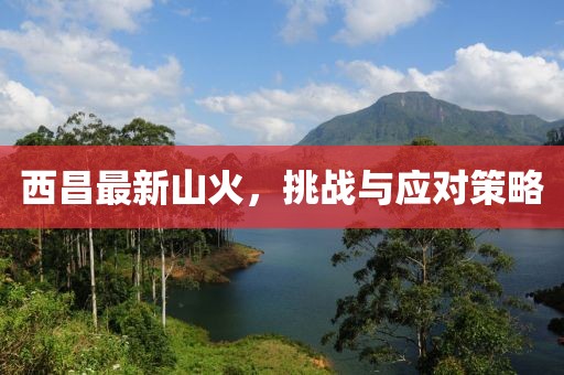 西昌最新山火，挑战与应对策略