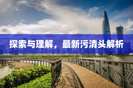 探索与理解，最新污清头解析