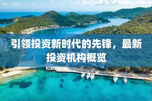 引领投资新时代的先锋，最新投资机构概览