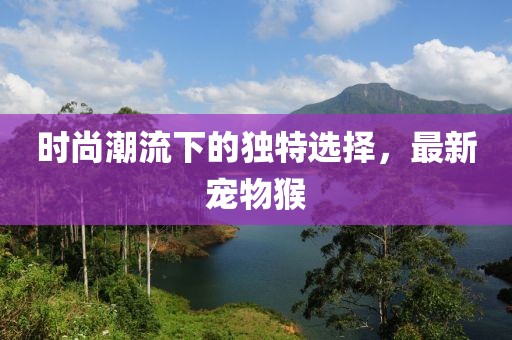时尚潮流下的独特选择，最新宠物猴